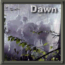 dpatrol.gif (58661 bytes)